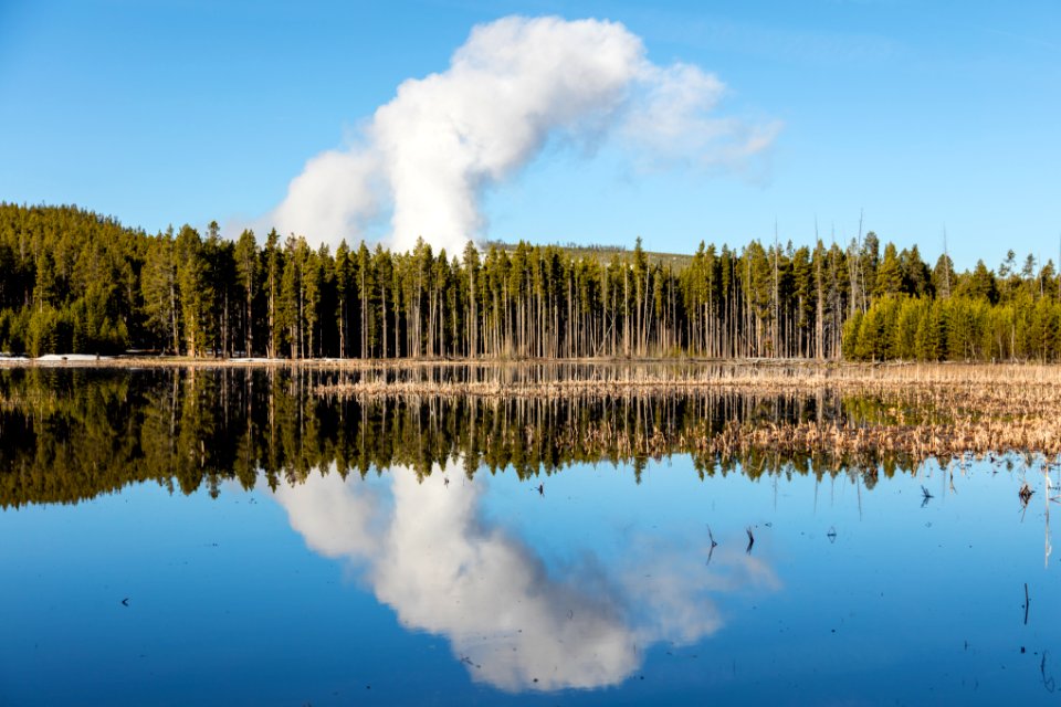 Steam from Midway Geyser Basin reflecting over Whiskey Flats