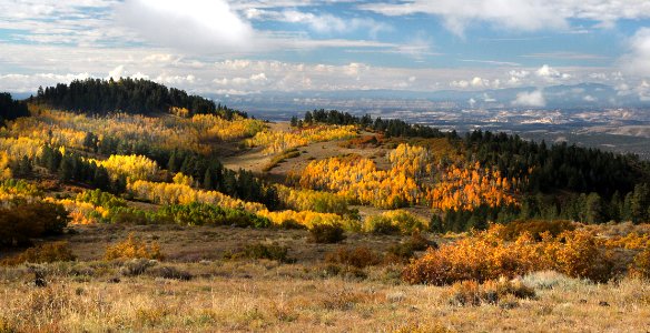 BOULDER MT, GARFIELD COUNTY, UT - 2016-09-30 fall color (1)