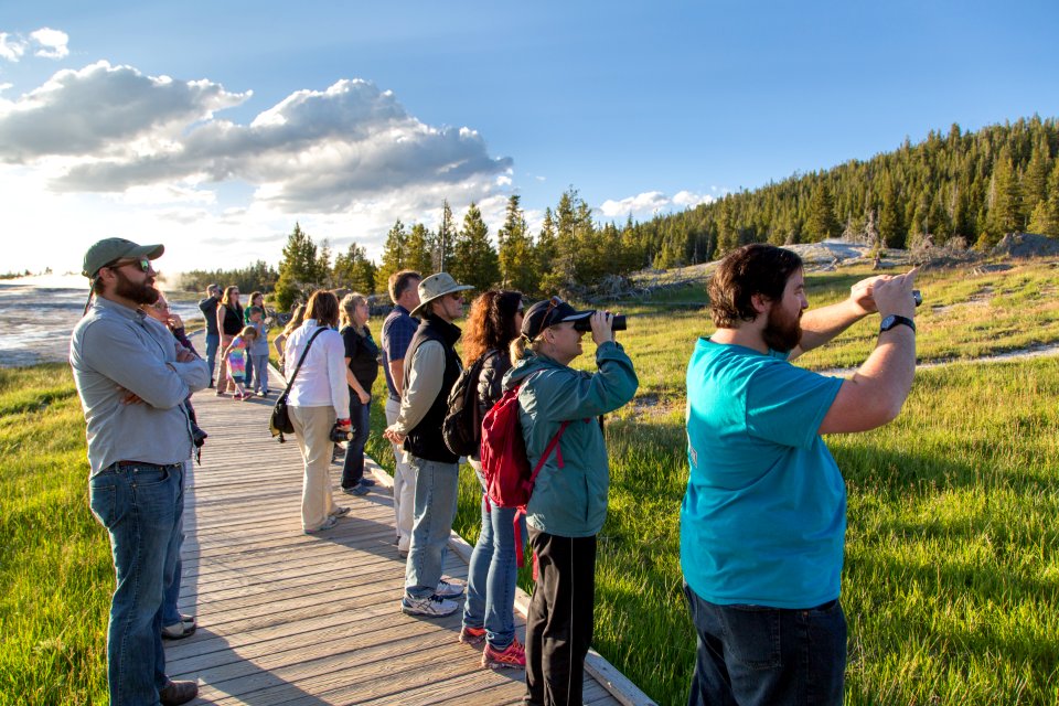 Watching a coyote from the boardwalk near Old Faithful