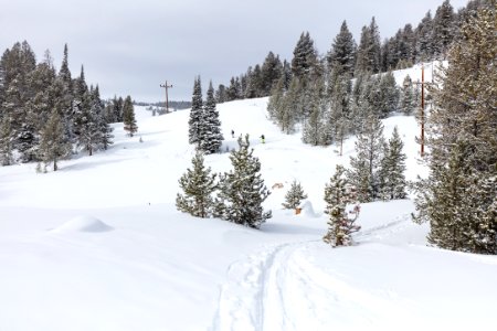 Views along the Snow Pass Ski Trail (4) photo