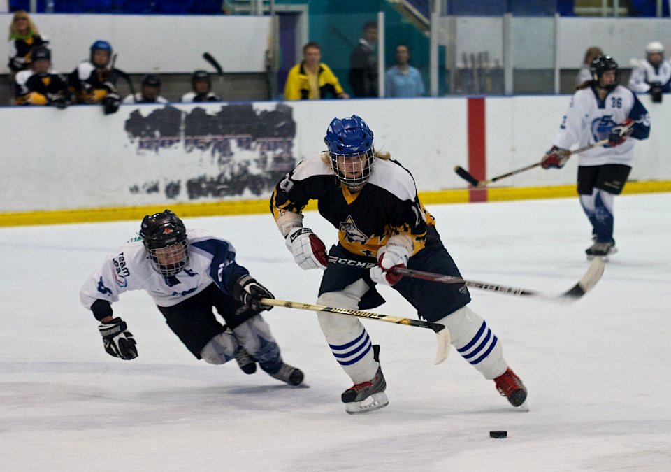 WD1 Chelmsford Vs Sheffield