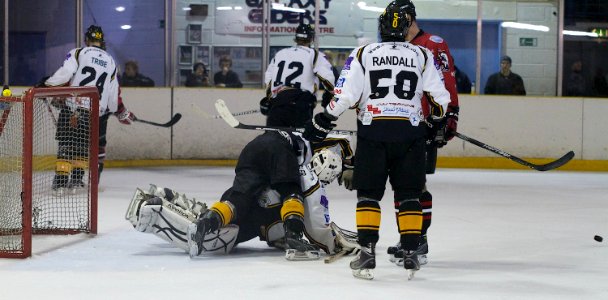 Basingstoke Bison Vs Bracknell Bees
