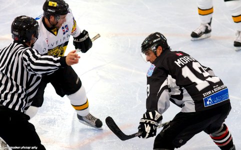 Bracknell Bees Vs Basingstoke Bison