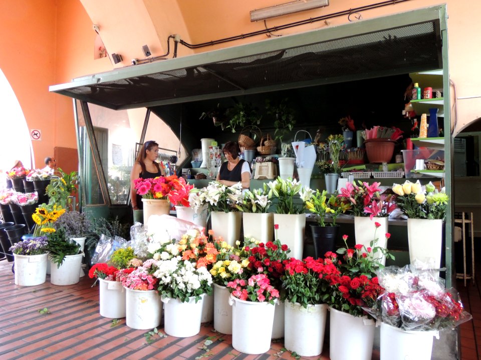 Venta de flores en Santa Cruz