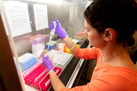 Extracting total DNA from environmental DNA water filter samples collected in the field.