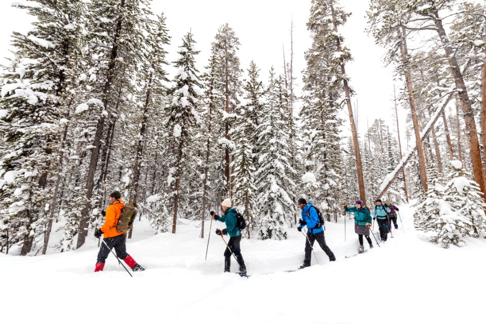Cross-country skiing the Roller Coaster Trail (14)