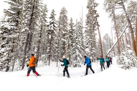 Cross-country skiing the Roller Coaster Trail (14) photo