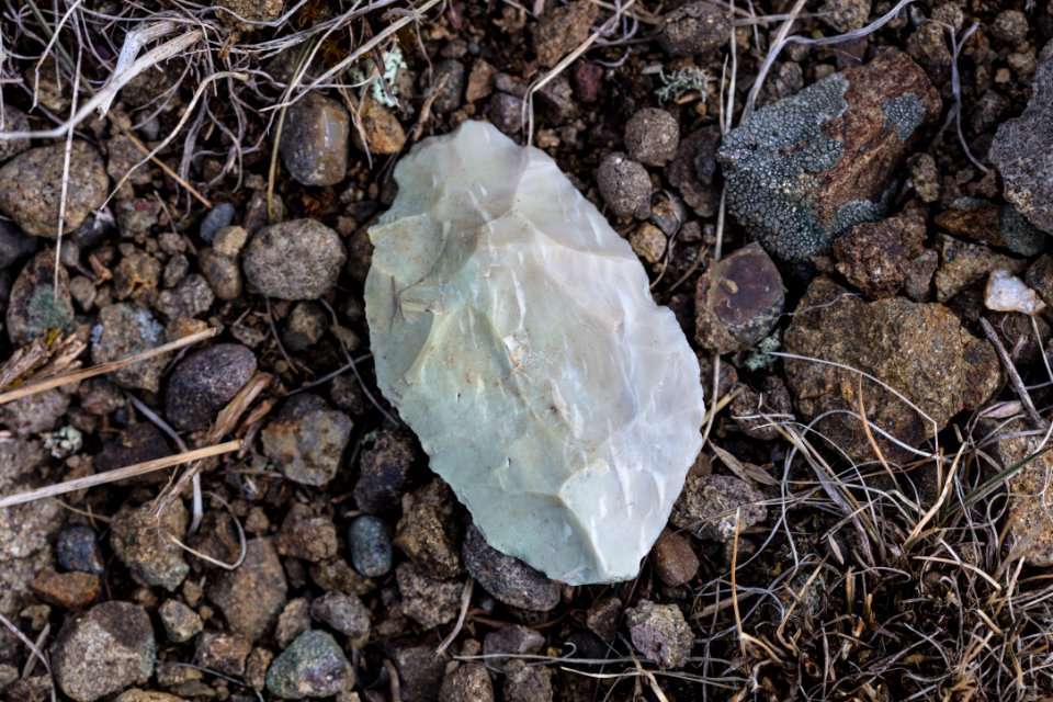 Stone lithic (biface)