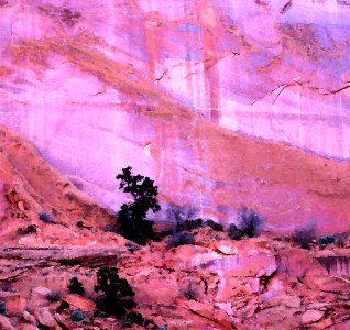 UT - (10-24-2017) - 3 - Along Burr Trail (3c)
