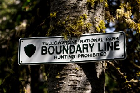 Boundary line between Yellowstone and Custer Gallatin National Forest (2) photo
