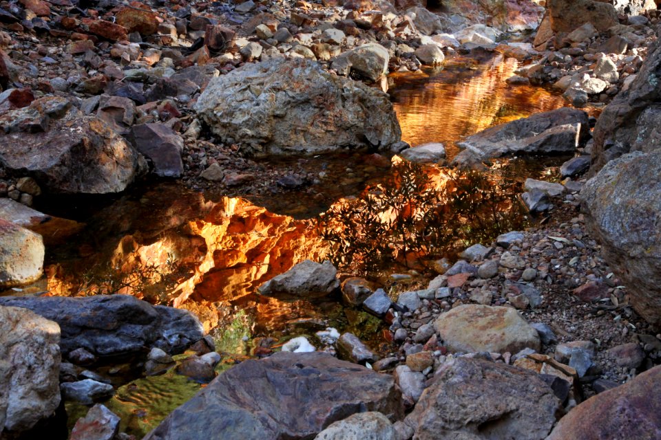 HUMBOLDT CANYON, Patagonia Hills, scc, az (10-30-10) - 15b-