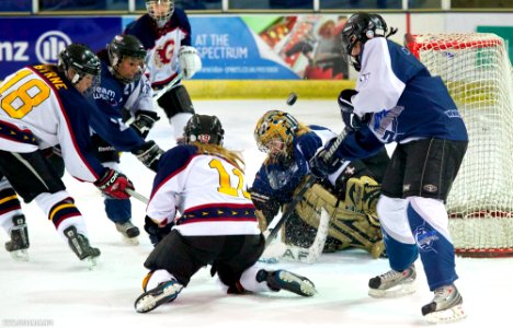 Guildford Lightning And Sheffield Shadows Challenge
