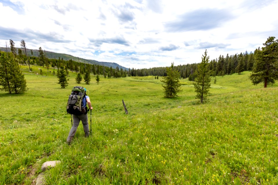 Views of the Coyote Creek headwaters in Absaroaka Beartooth Wilderness