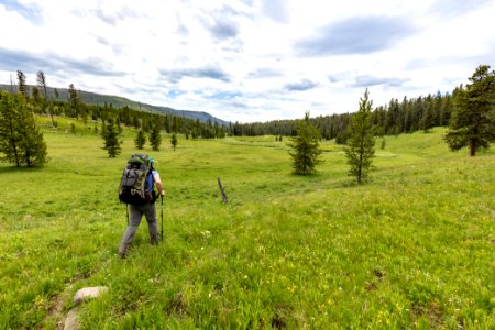 Views of the Coyote Creek headwaters in Absaroaka Beartooth Wilderness