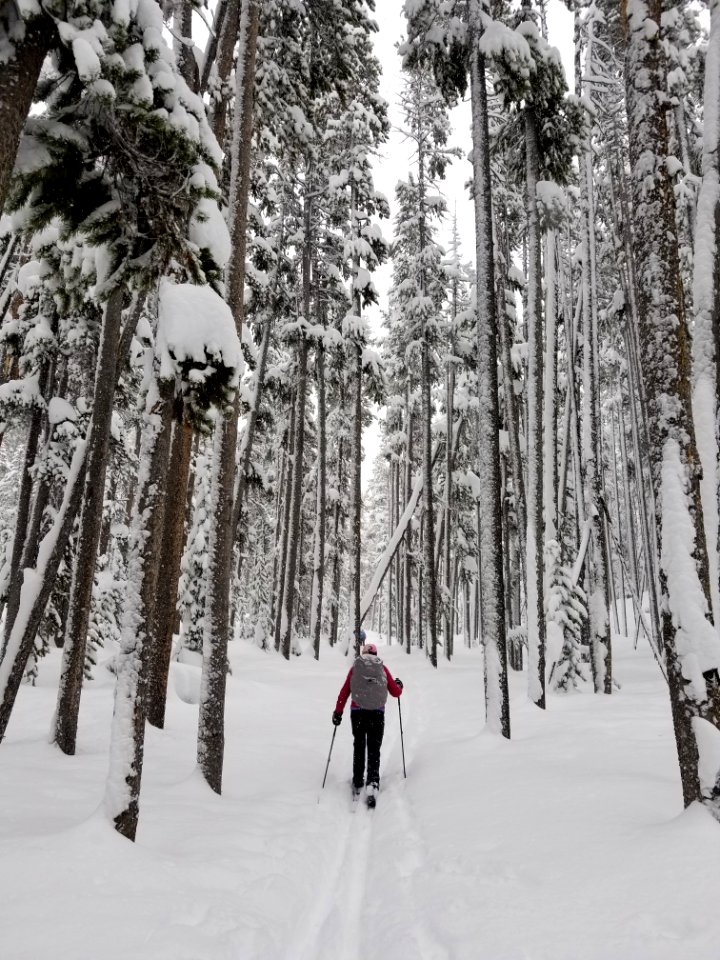 Skiers on Divide Trail