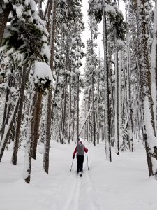 Skiers on Divide Trail photo