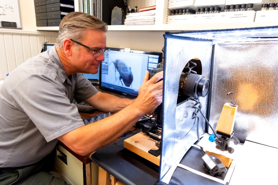 Biologist, Erik Oberg, photographs a firey hunter beetle for the insect macro photography collection