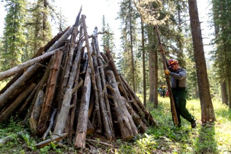 Northeast Entrance fuels project - stacking burn piles