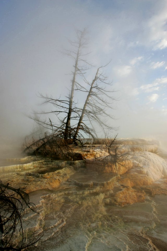 Mammoth Hot Springs