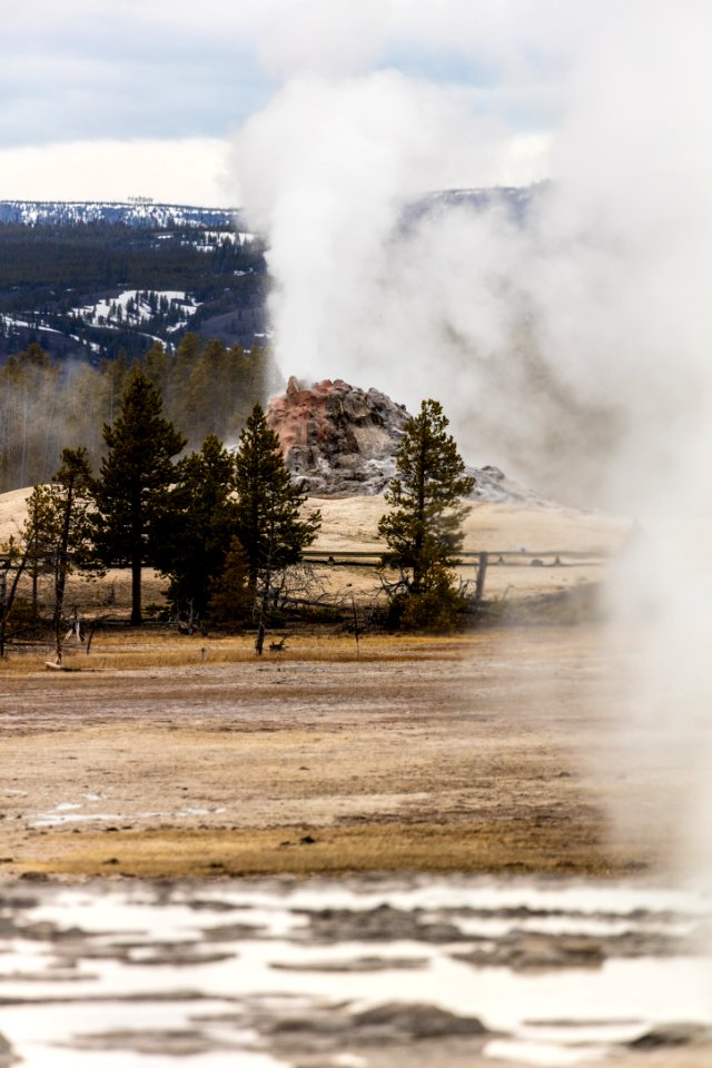 White Dome Geyser eruption seen from Great Fountain Geyser