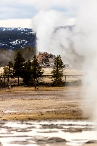 White Dome Geyser eruption seen from Great Fountain Geyser