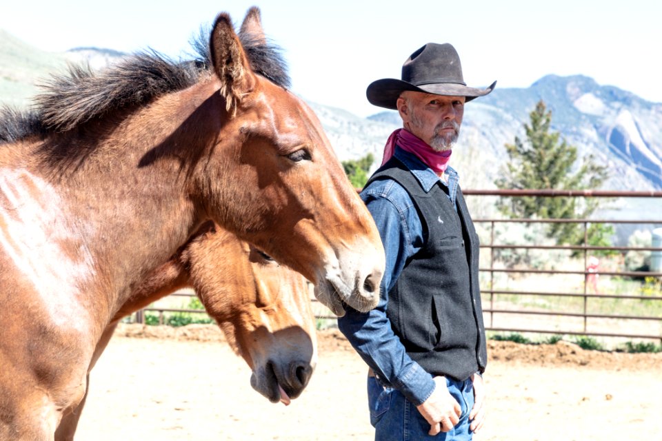 Larry Todd teaching the horse safety course at Stephens Creek