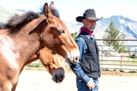 Larry Todd teaching the horse safety course at Stephens Creek