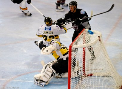 Bracknell Bees Vs Basingstoke Bison