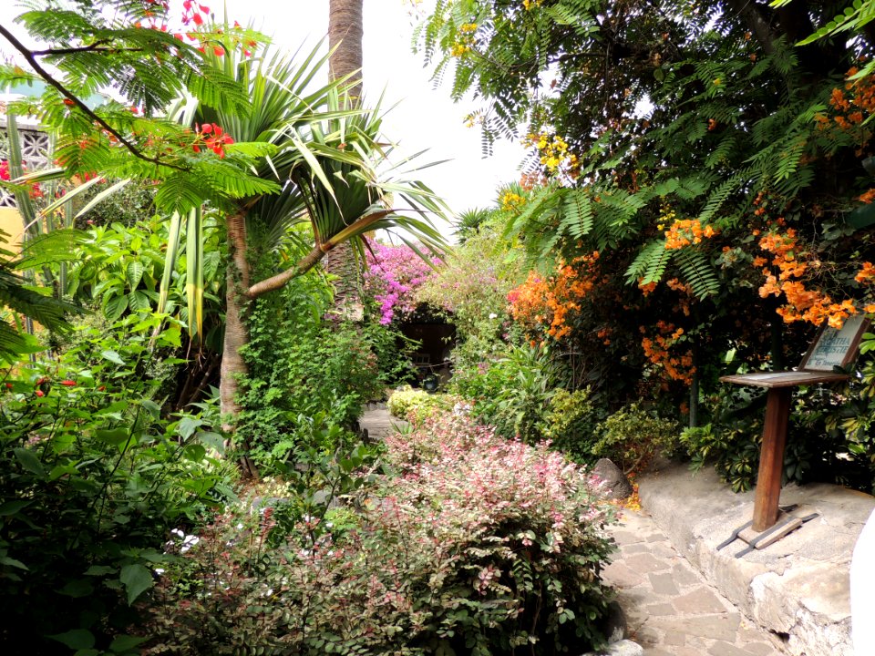 Jardín de las Orquídeas en Puerto de la Cruz