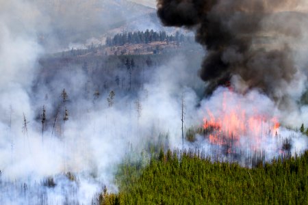 Maple Fire, August 15, 2016