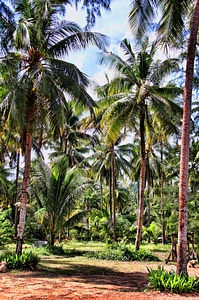 Landscape asia nature