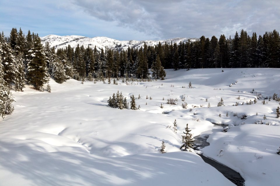 Cascade Creek looking north from the road