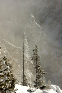 Grand Canyon of the Yellowstone