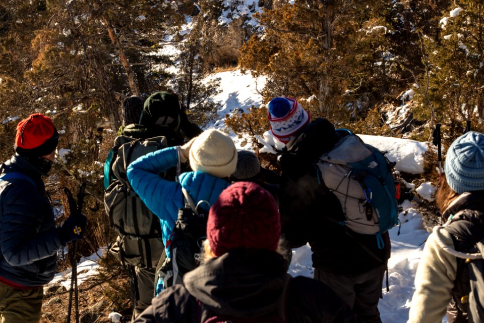 Yellowstone Forever Cougar Course - group overlooking a cougar resting spot