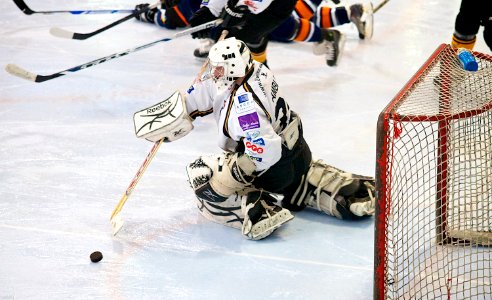 Bracknell Bees Vs Peterborough Phantoms