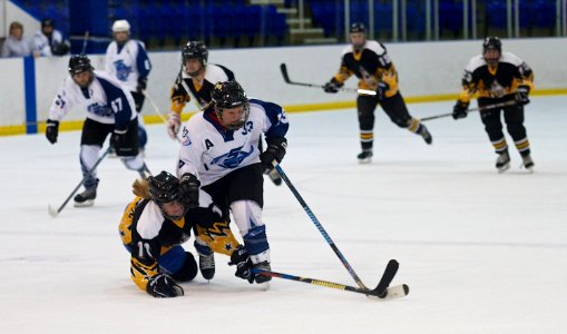 WD1 Chelmsford Vs Sheffield