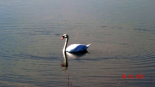 Newstead Country Park