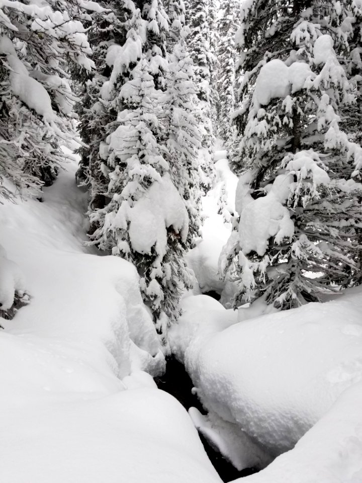 Spring Creek