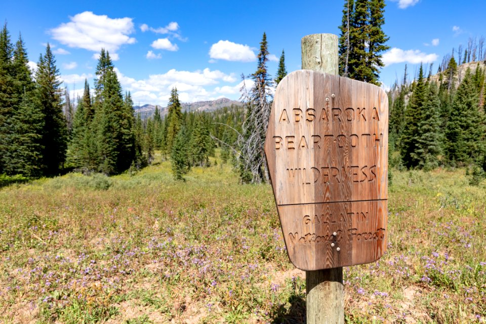 Wilderness boundary on Lake Abundance Trail