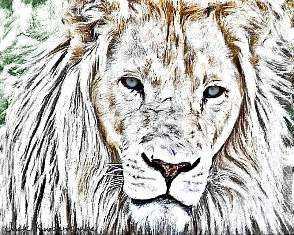 - White Lion photo