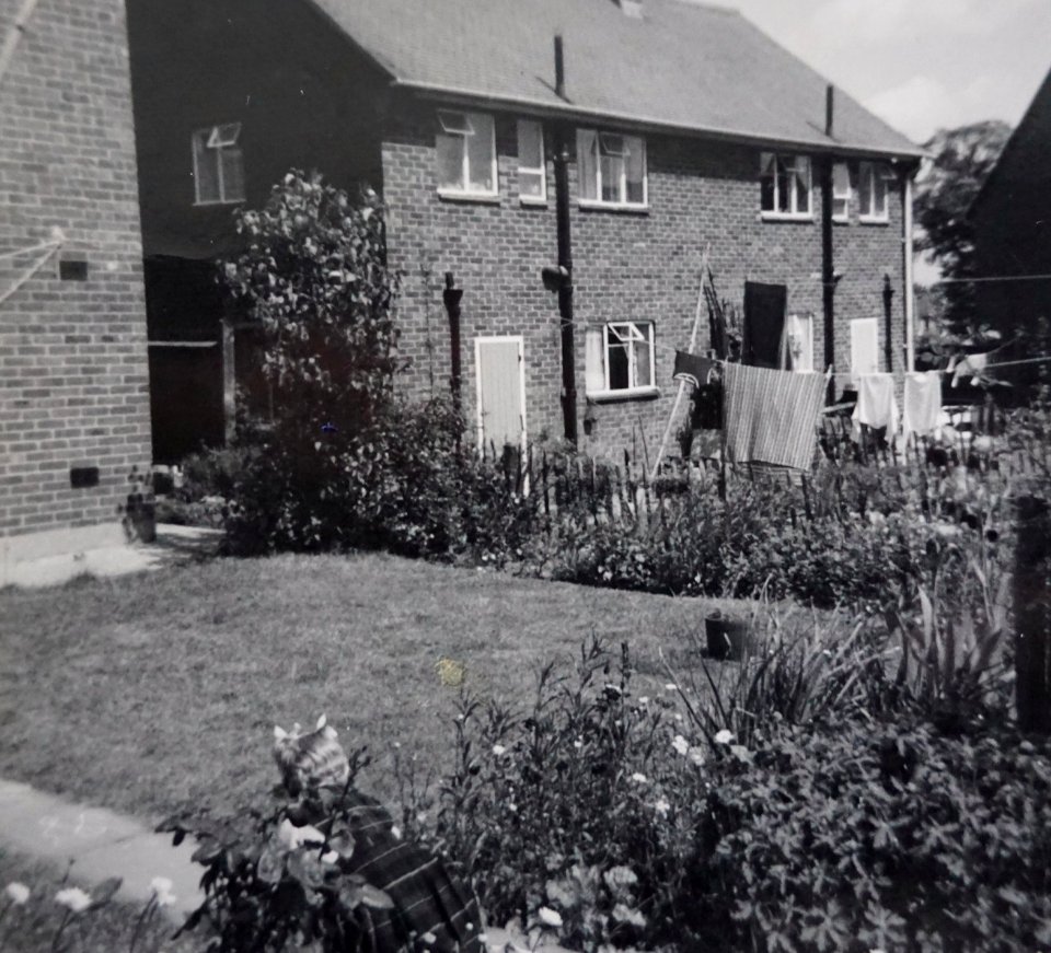 St Paul's Cray back gardens 1950s