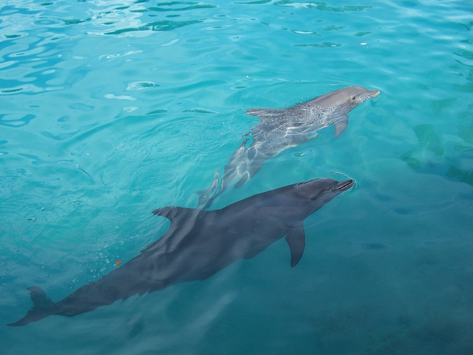 Water underwater swimming