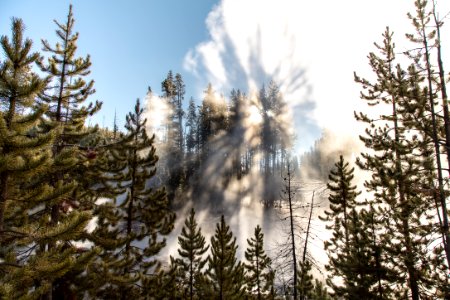 Frying Pan Spring Morning Steam Portrait