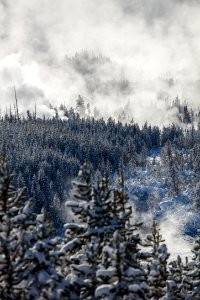 Norris Geyser Basin Overlook Portrait