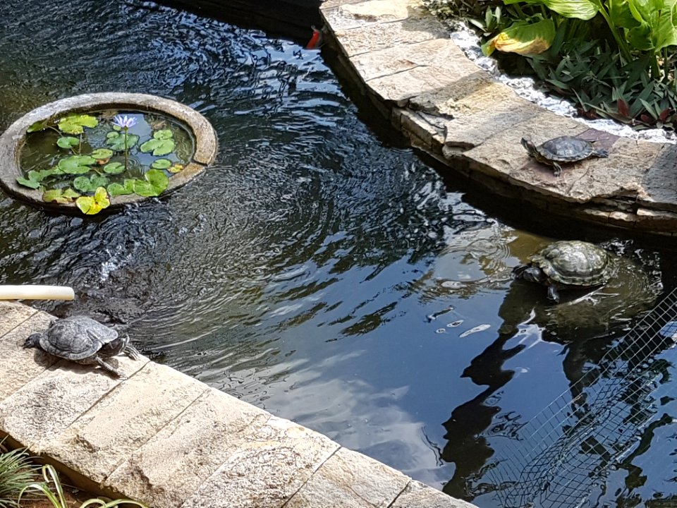 20180806 133524