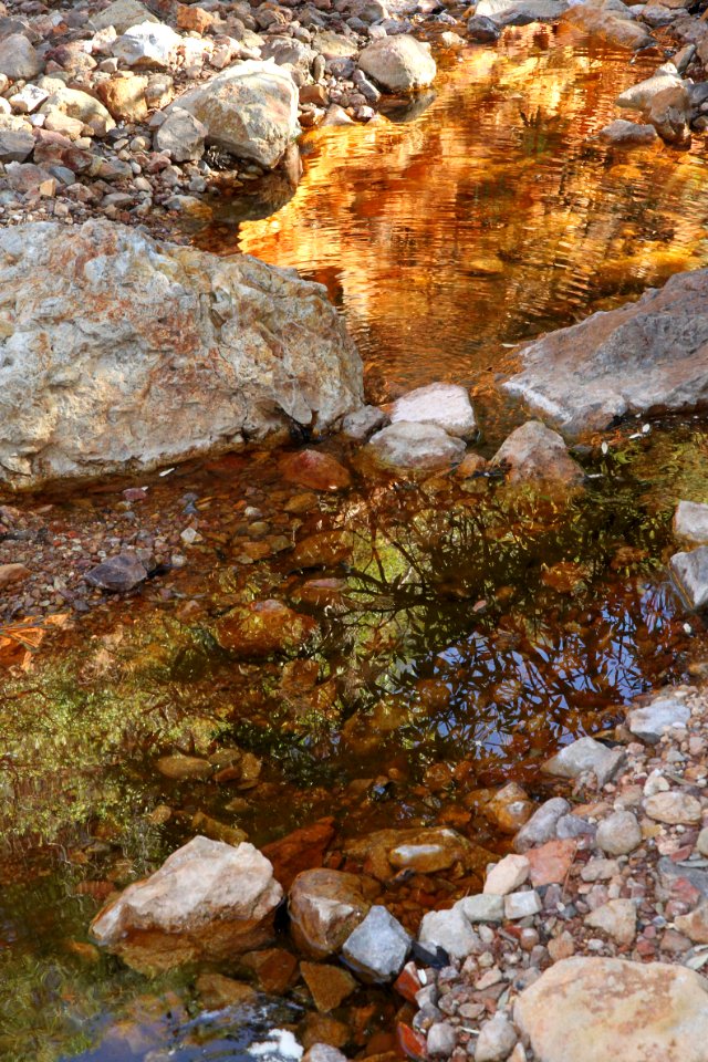 HUMBOLDT CANYON, Patagonia Hills, scc, az (10-30-10) - 23-