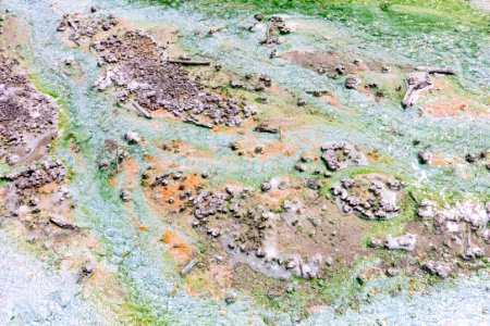 Thermophiles of Whirligig Geyser's runoff channel