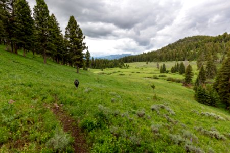 Backpacker along the Coyote Creek Trail photo