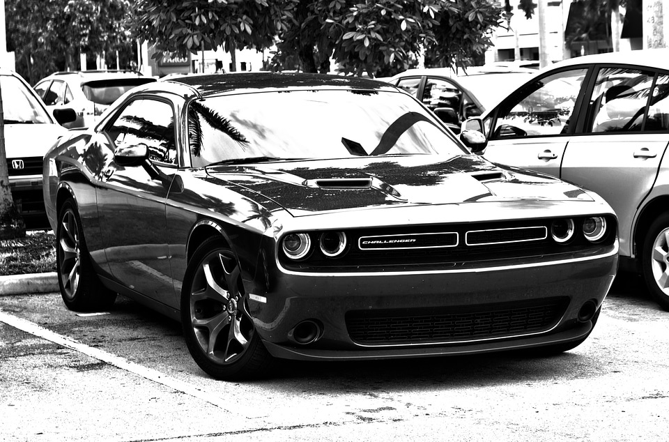 Monochrome muscle car gray car