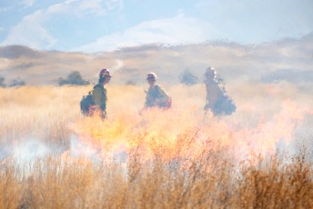 Cinnabar Basin prescribed burn project (17)